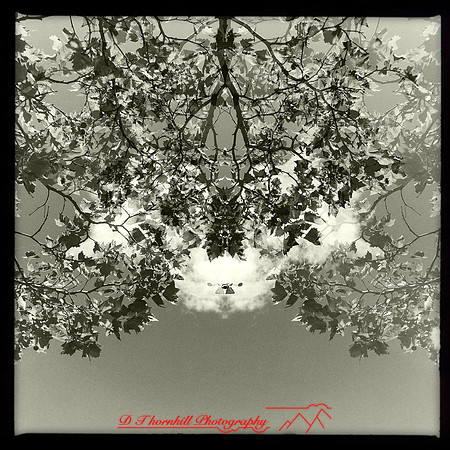 iPhone-2018-double exposure-024