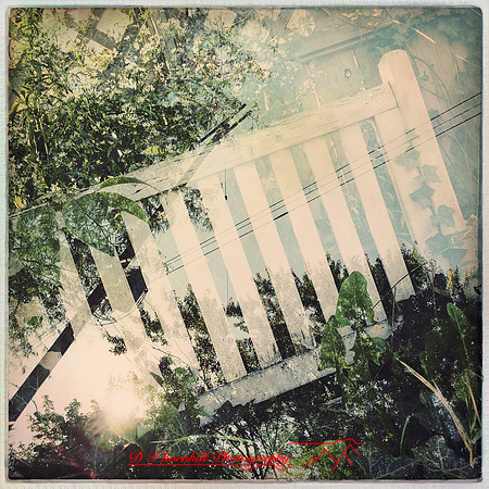 iPhone-2018-double exposure-030