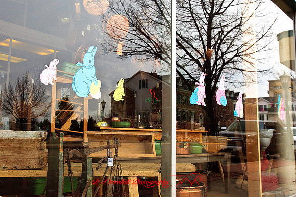 assorted-images-2010_018
