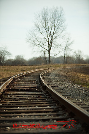 assorted-images-2010_003