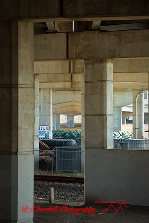 assorted-images-2010_014