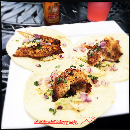 florida-nov-2014-iphone-images-013