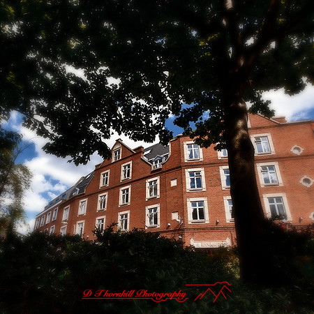 ireland-2013-551-nas