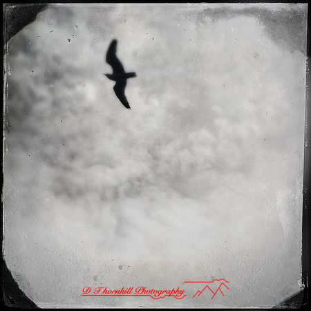 iPhone-2018-blurry-009