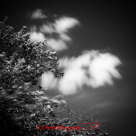 shadow-light-project-random-2018-5