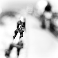 Wide Open-2017-102-nas