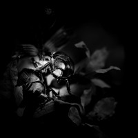 random-images-2018-037