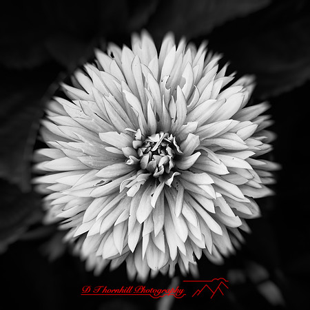 random-images-2018-024-n-l-as