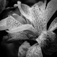 random-images-2018-021