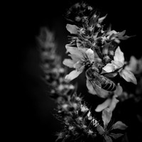 random-images-2018-038