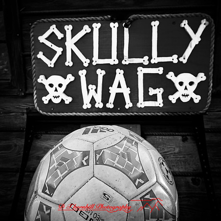 Mac-the-ball-in-FL-2018-034