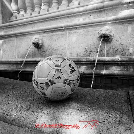 Mac-the-ball-in-FL-2018-010