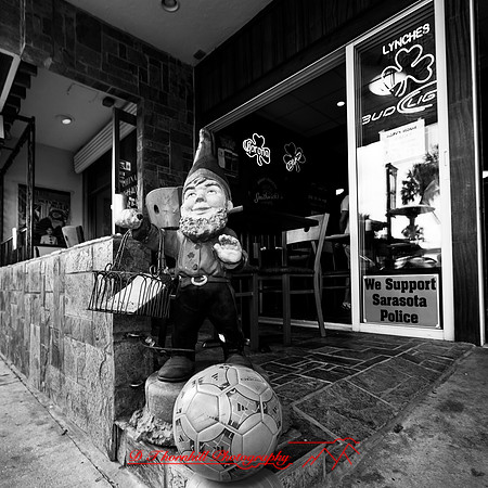 Mac-the-ball-in-FL-2018-006