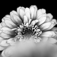 random-images-2018-025