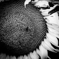 random-images-2018-003