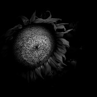 random-images-2018-006