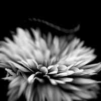 random-images-2018-027-n-l-as