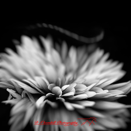 random-images-2018-027-n-l-as