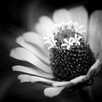 random-images-2018-026-n-l-as