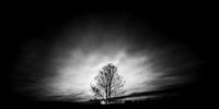 shadow-light-project-shiawasse-2018-6