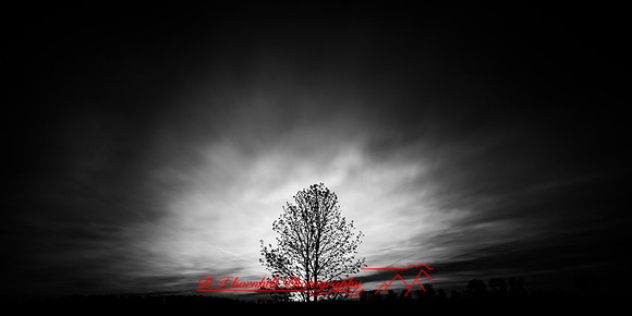 shadow-light-project-shiawasse-2018-6