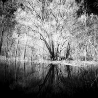 shadow-light-project-shiawasse-2018-2