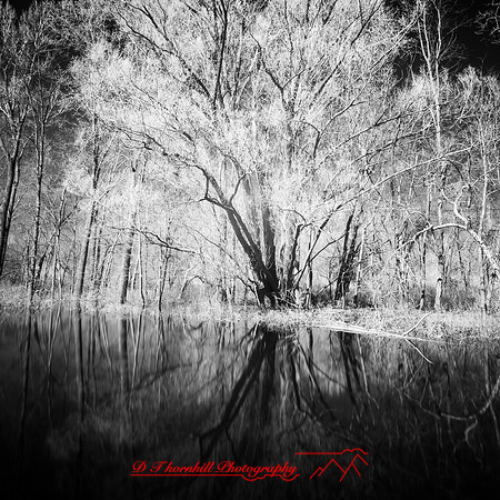 shadow-light-project-shiawasse-2018-2
