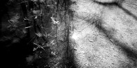 shadow-light-project-shiawasse-2018-3