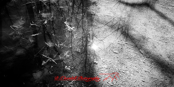 shadow-light-project-shiawasse-2018-3