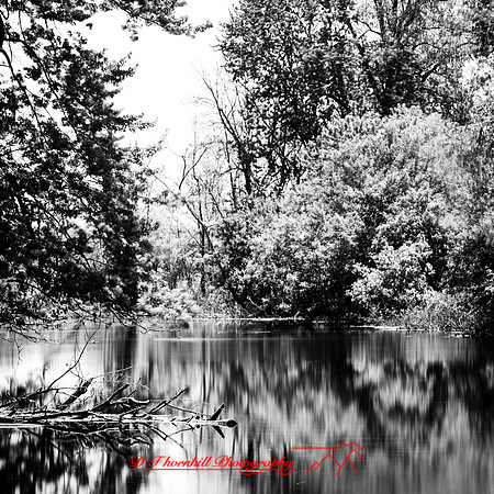 shadow-light-project-shiawasse-2018-7