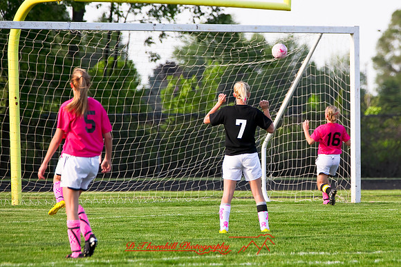 jghs-gs-western-2010_006