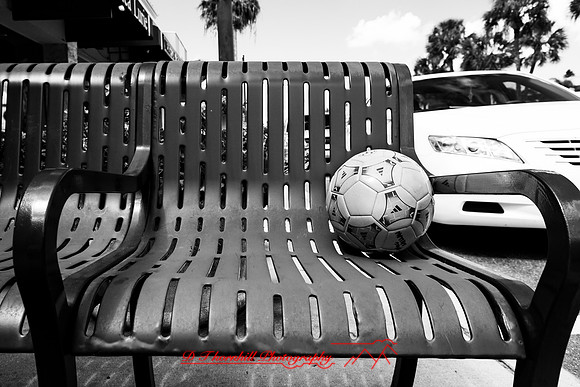 Mac-the-ball-in-FL-2018-007