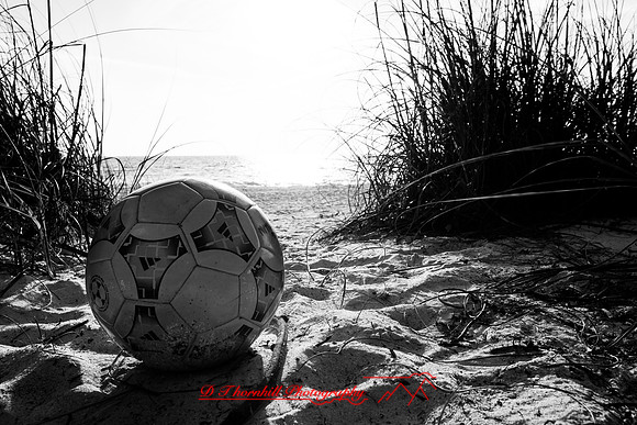 Mac-the-ball-in-FL-2018-039