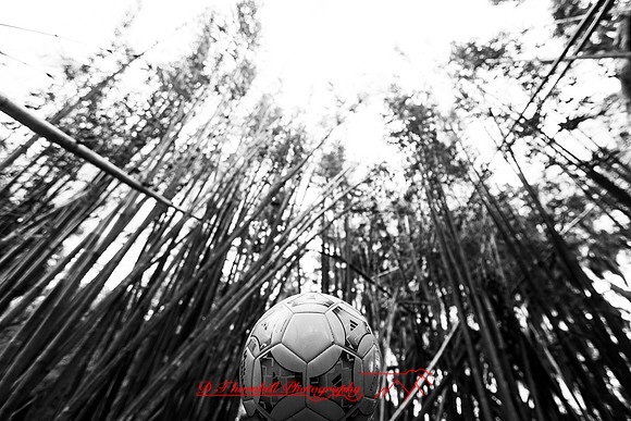 Mac-the-ball-in-FL-2018-019