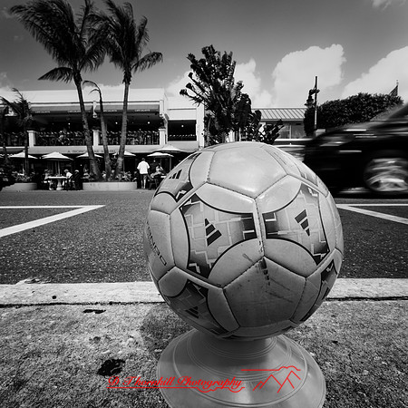 Mac-the-ball-in-FL-2018-005-n-l-as