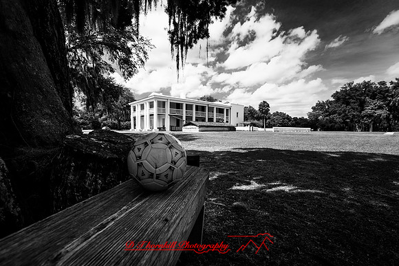 Mac-the-ball-in-FL-2018-016-n-l-as