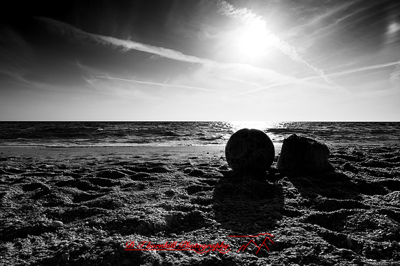 Mac-the-ball-in-FL-2018-035