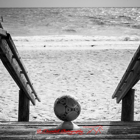 Mac-the-ball-in-FL-2018-031