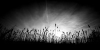 shadow-light-project-shiawasse-2018-5
