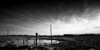 shadow-light-project-shiawasse-2018-4