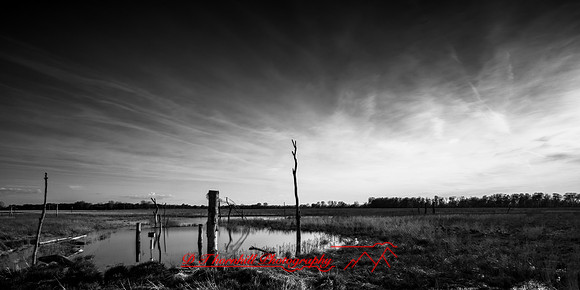 shadow-light-project-shiawasse-2018-4