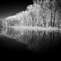 shadow-light-project-shiawasse-2018-1