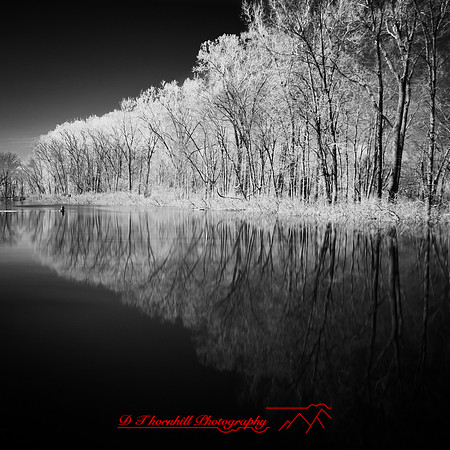 shadow-light-project-shiawasse-2018-1