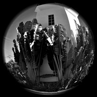 iPhone FL October 2018 009