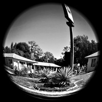 iPhone FL October 2018 008
