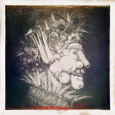 florida-2014-iphone-art-007