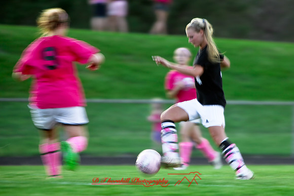 jghs-gs-western-2010_070