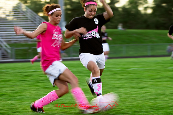 jghs-gs-western-2010_071