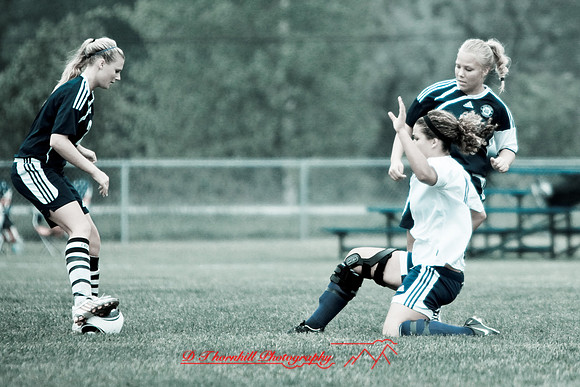 jghs-gs-avondale-2010_24