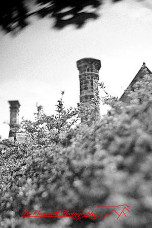 assorted_images-2012-077